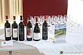 VBS_0823 - Terre Alfieri in Paniere. Un Risveglio per i Sensi – Presentazione Eventi 2026